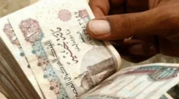 بشرى للمعلمين.. صرف 1000 جنيه شهريًا وتحديد موعد التطبيق رسميًا 1